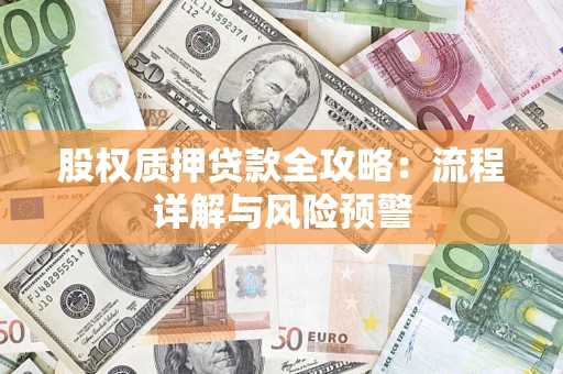 武汉股权质押贷款全攻略：流程详解与风险预警