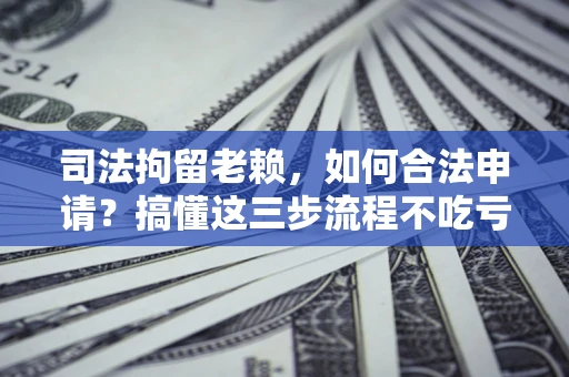 武汉司法拘留老赖，如何合法申请？搞懂这三步流程不吃亏！