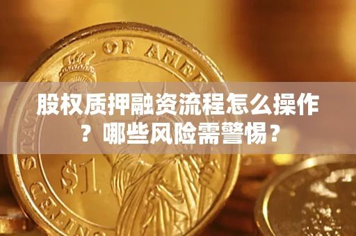 武汉股权质押融资流程怎么操作？哪些风险需警惕？