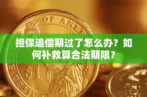 武汉担保追偿期过了怎么办？如何补救算合法期限？