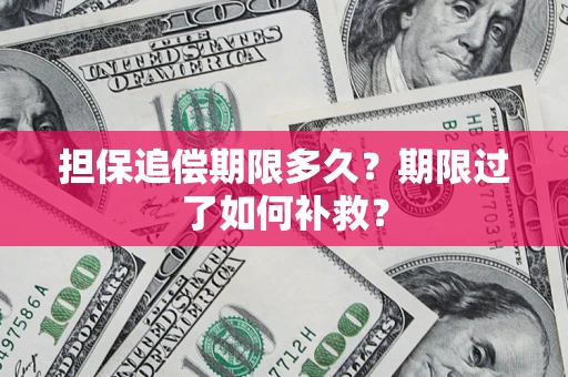 武汉担保追偿期限多久？期限过了如何补救？