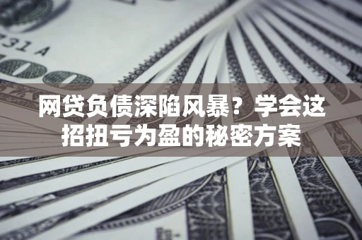 武汉网贷负债深陷风暴？学会这招扭亏为盈的秘密方案